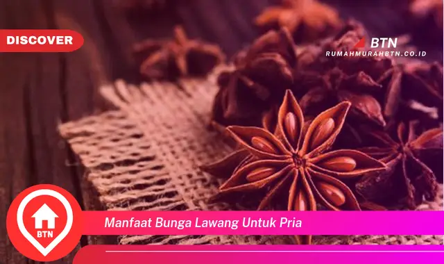 manfaat bunga lawang untuk pria