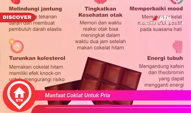 manfaat coklat untuk pria