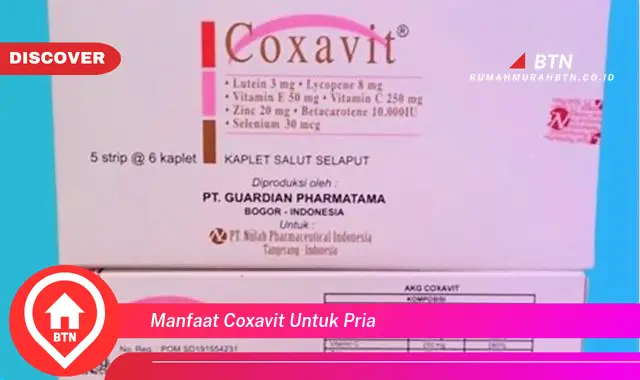 manfaat coxavit untuk pria