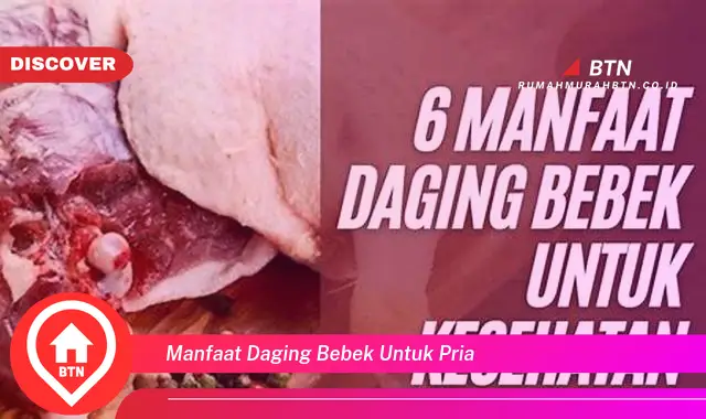 manfaat daging bebek untuk pria