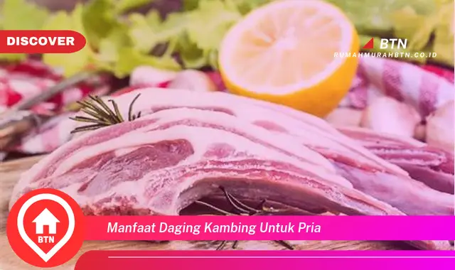 manfaat daging kambing untuk pria