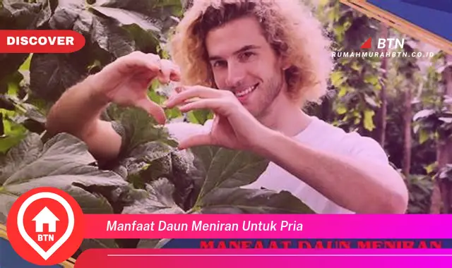 manfaat daun meniran untuk pria