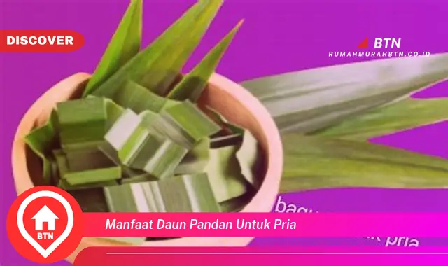 manfaat daun pandan untuk pria