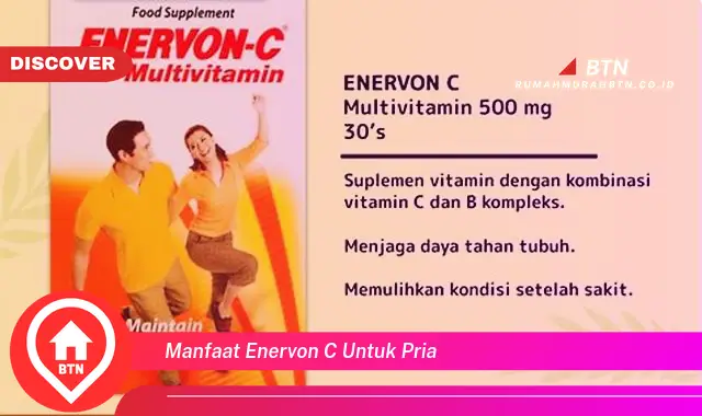 manfaat enervon c untuk pria