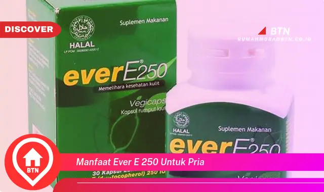 manfaat ever e 250 untuk pria