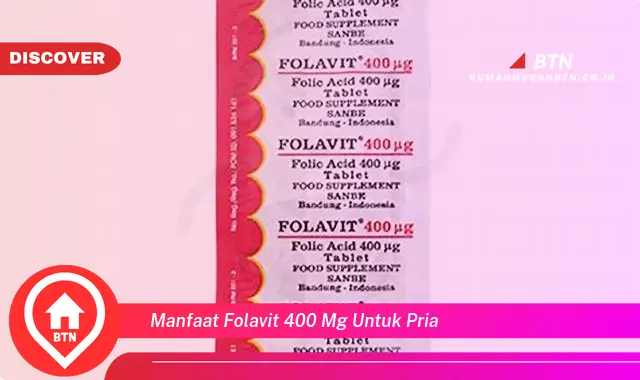 manfaat folavit 400 mg untuk pria