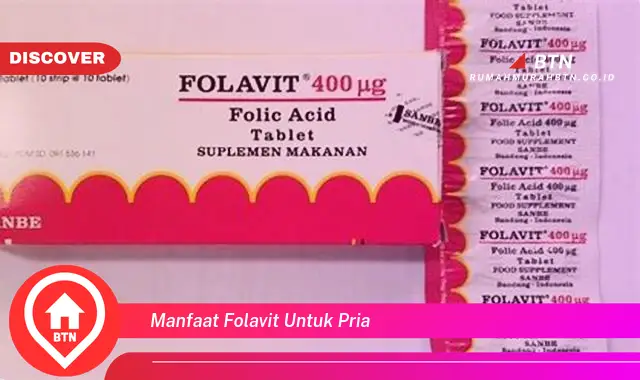 manfaat folavit untuk pria