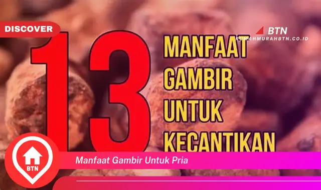 manfaat gambir untuk pria