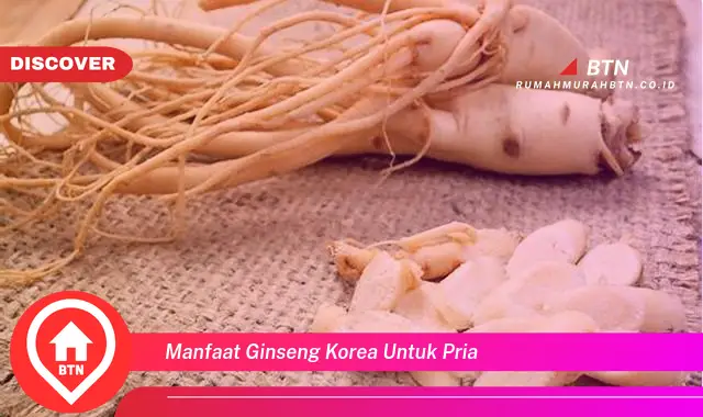 manfaat ginseng korea untuk pria