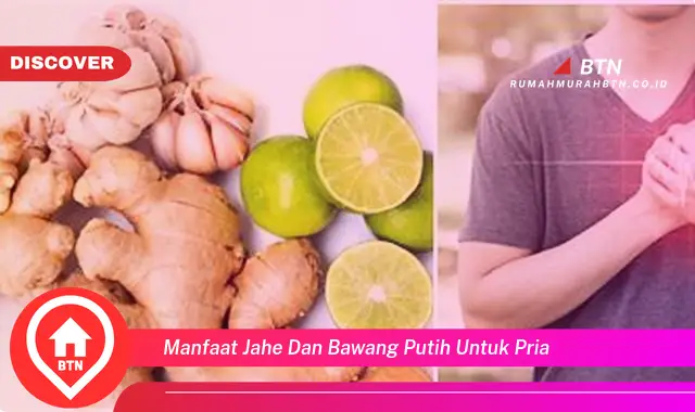 manfaat jahe dan bawang putih untuk pria