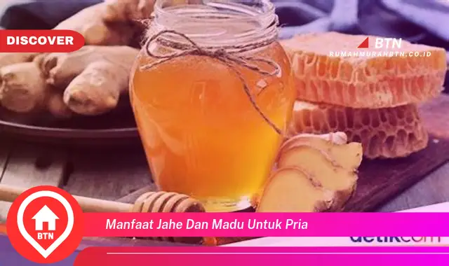 manfaat jahe dan madu untuk pria