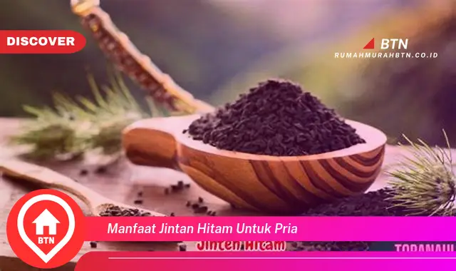 manfaat jintan hitam untuk pria