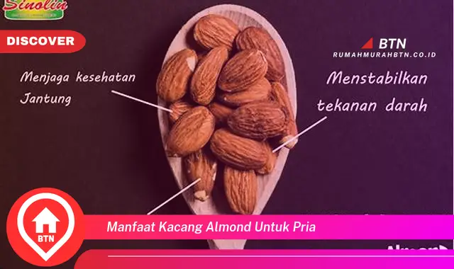 manfaat kacang almond untuk pria