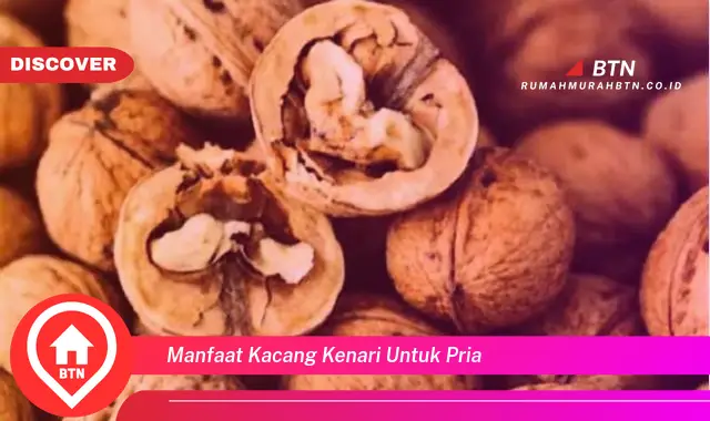 manfaat kacang kenari untuk pria