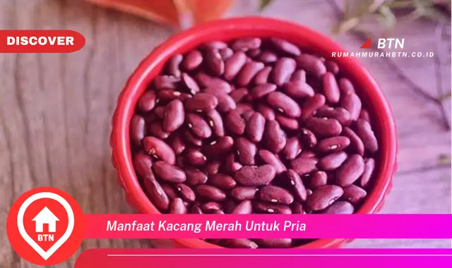 manfaat kacang merah untuk pria