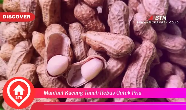 manfaat kacang tanah rebus untuk pria