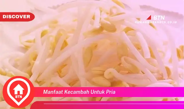 manfaat kecambah untuk pria