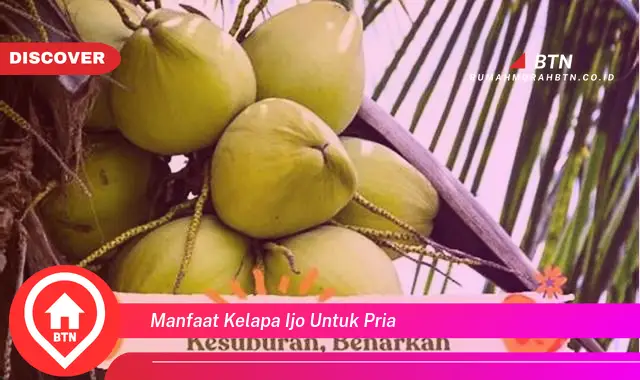 manfaat kelapa ijo untuk pria