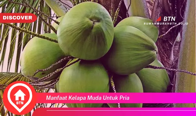 manfaat kelapa muda untuk pria