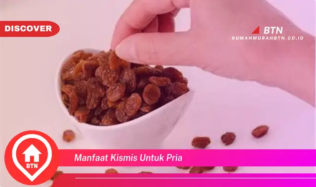 manfaat kismis untuk pria