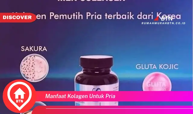 manfaat kolagen untuk pria