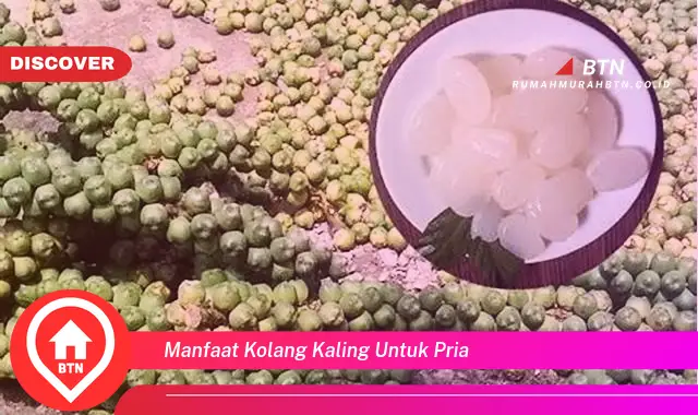 manfaat kolang kaling untuk pria