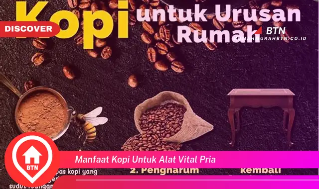 manfaat kopi untuk alat vital pria