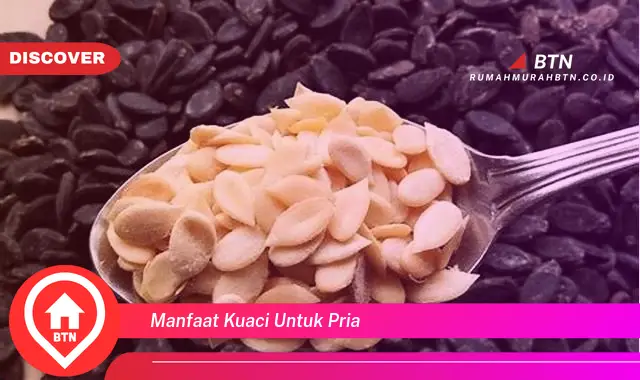 manfaat kuaci untuk pria