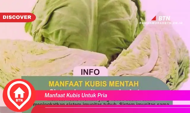 manfaat kubis untuk pria