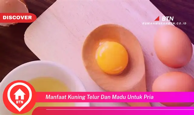 manfaat kuning telur dan madu untuk pria