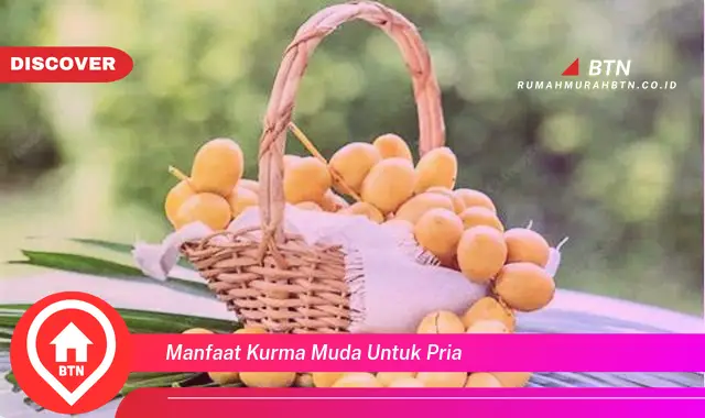 manfaat kurma muda untuk pria