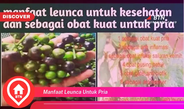 manfaat leunca untuk pria