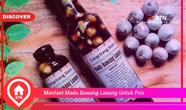 manfaat madu bawang lanang untuk pria