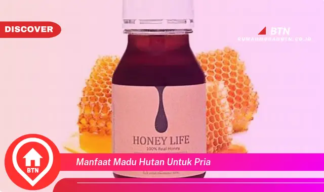 manfaat madu hutan untuk pria