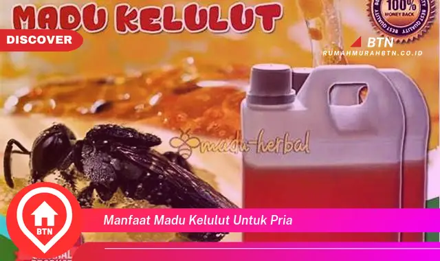 manfaat madu kelulut untuk pria