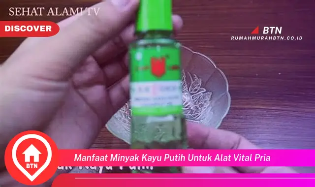 manfaat minyak kayu putih untuk alat vital pria