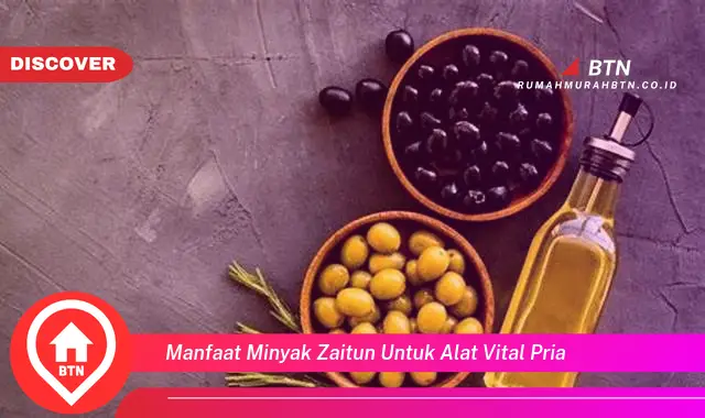 manfaat minyak zaitun untuk alat vital pria