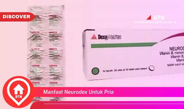 manfaat neurodex untuk pria