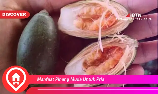 manfaat pinang muda untuk pria