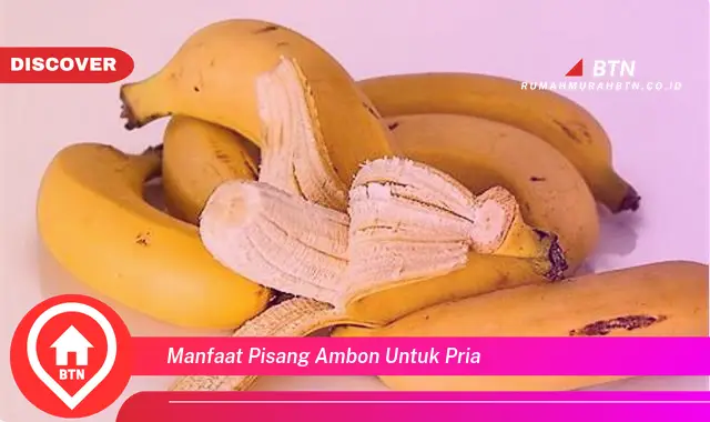 manfaat pisang ambon untuk pria