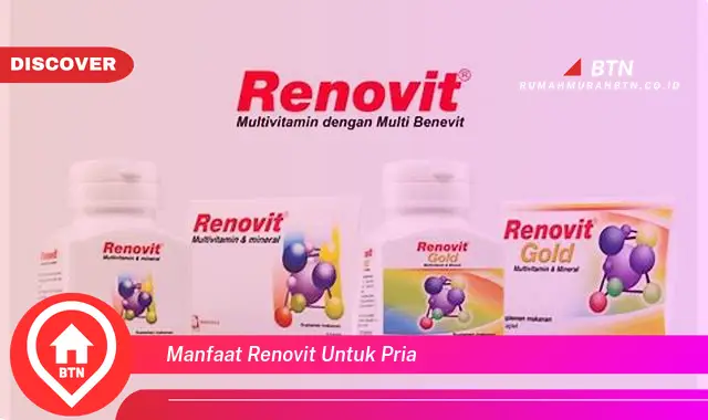 manfaat renovit untuk pria