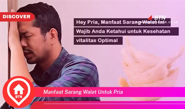 manfaat sarang walet untuk pria