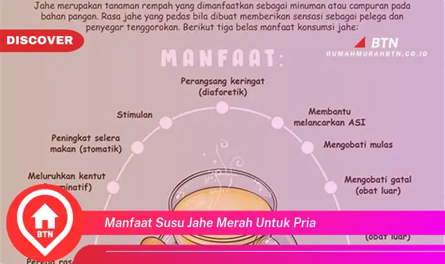 manfaat susu jahe merah untuk pria