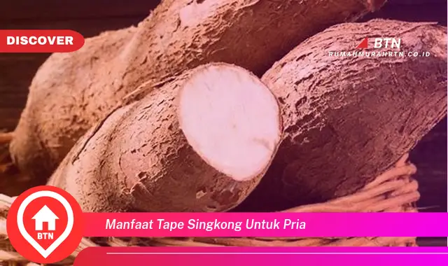 manfaat tape singkong untuk pria