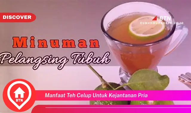 manfaat teh celup untuk kejantanan pria