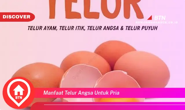 manfaat telur angsa untuk pria