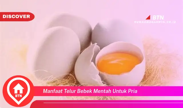 manfaat telur bebek mentah untuk pria