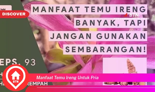 manfaat temu ireng untuk pria