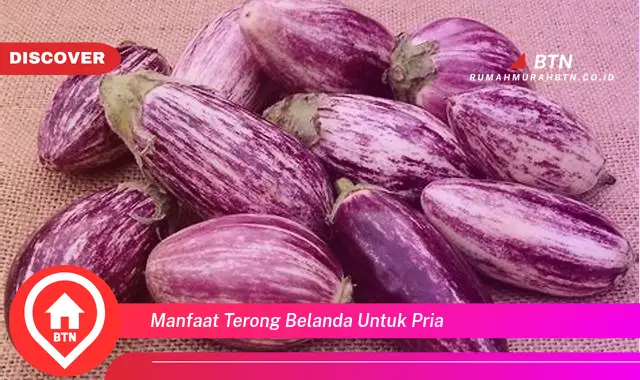 manfaat terong belanda untuk pria