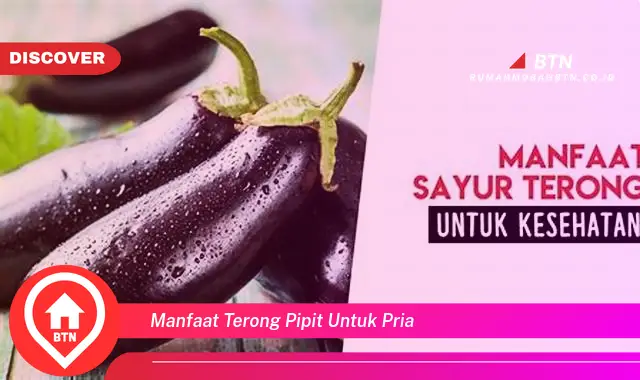 manfaat terong pipit untuk pria